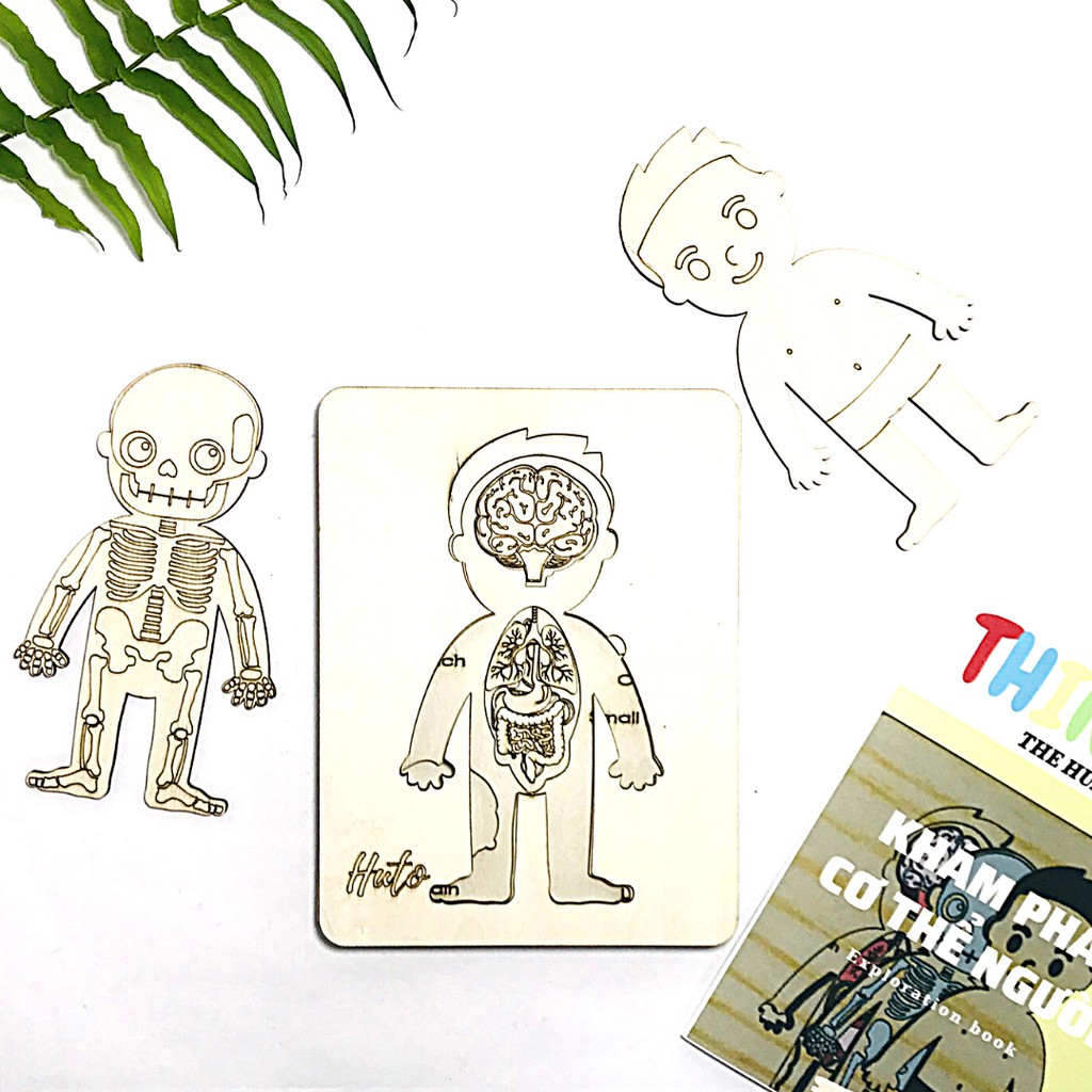 Đồ Chơi Tranh Ghép Cơ Thể Người 3D Bằng Gỗ