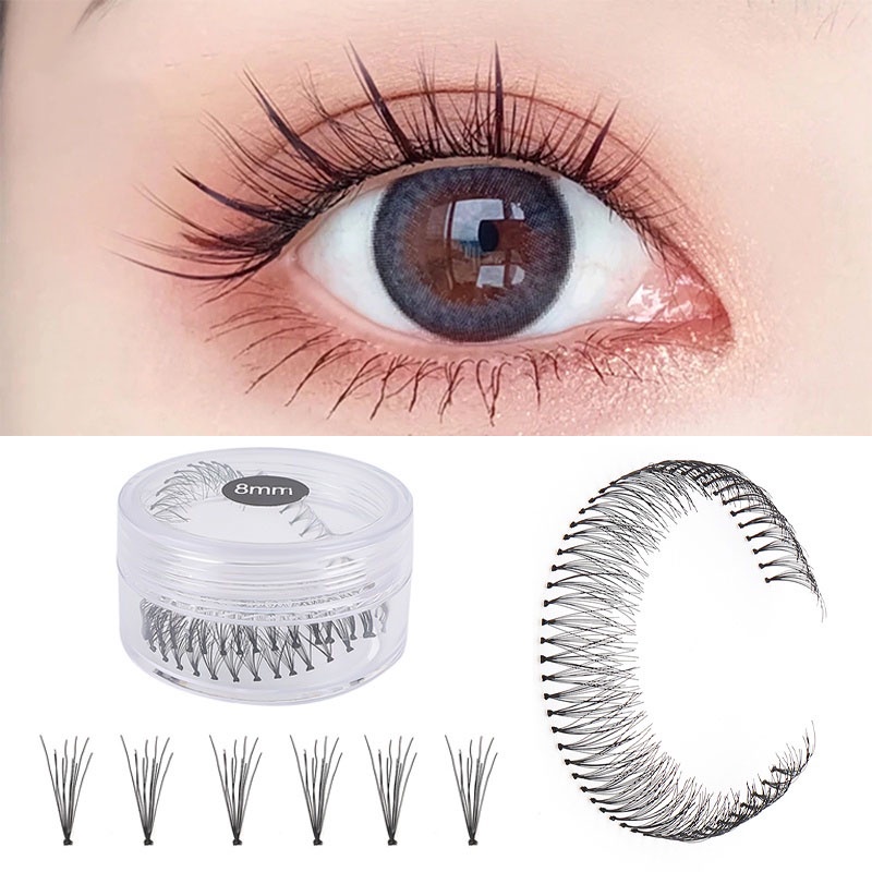 Hộp Lông Mi Giả 3D Nối Mi Tự Nhiên Chuyên Nghiệp