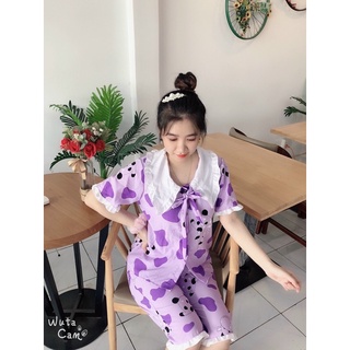set bộ bò sữa