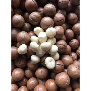 500G Hạt macca Daklak to ngon