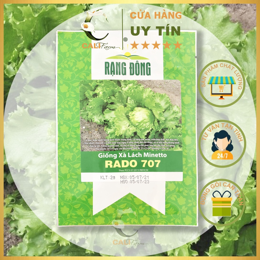 Hạt Giống Xà Lách Búp Minetto Rado 707 Ăn ngon, dễ trồng gói 2gr
