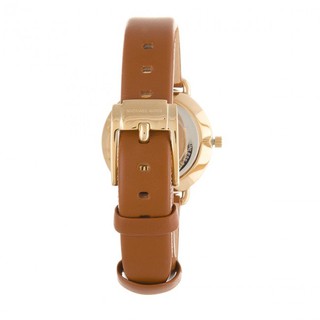 Đồng Hồ Nữ Michael Kors MK2734