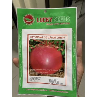Hạt giống củ cải đỏ khổng lồ( củ cải đỏ lớn)
