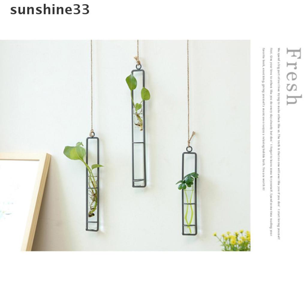 Bình Hoa Thủy Tinh Trong Suốt Treo Tường Bằng Sắt