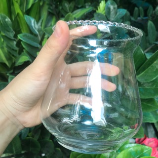 Bình thủy tinh trồng cây thủy sinh và nuôi cá nhỏ