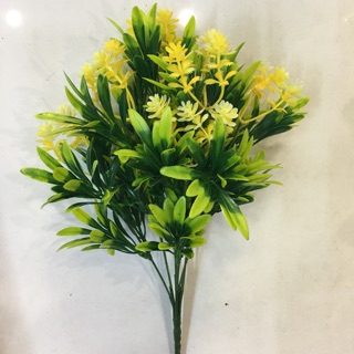Cỏ nhựa hoa vàng