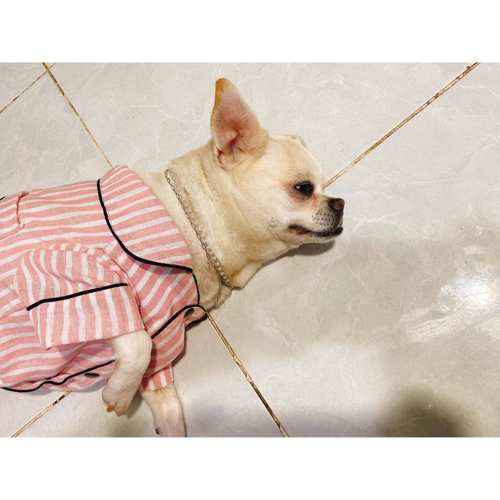 ÁO CHÓ MÈO - BỘ PIJAMA 4 CHÂN DỄ THƯƠNG