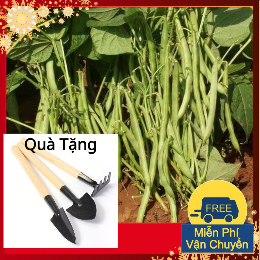 Hạt Giống Đậu Cove Lùn Tặng Bộ Dụng Cụ Mini Trồng Cây Tặng Bộ Dụng Cụ Mini Trồng Cây