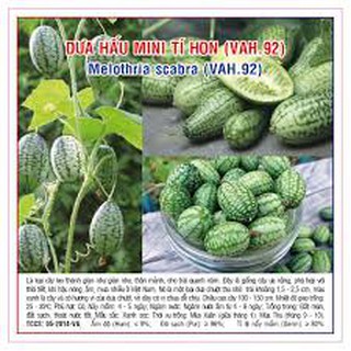 HẠT GIỐNG DƯA HẤU TÍ HON GÓI 10 HẠT