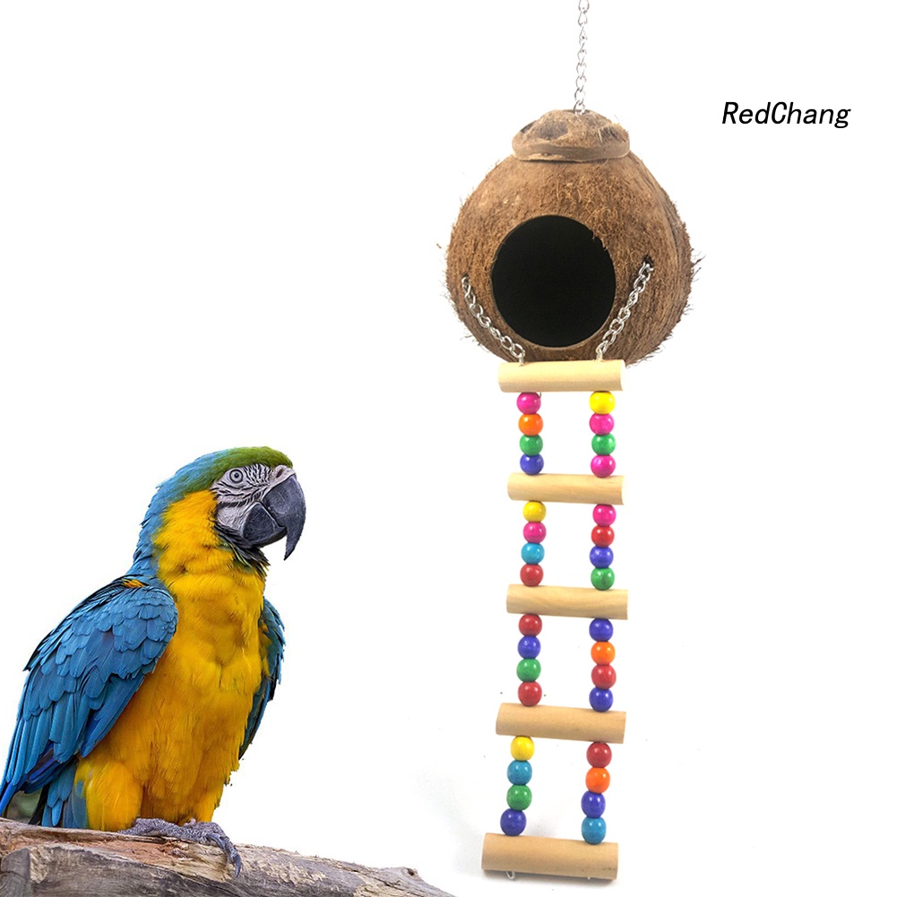 Tổ Chim Bằng Vỏ Dừa Có Thang Leo Tiện Dụng