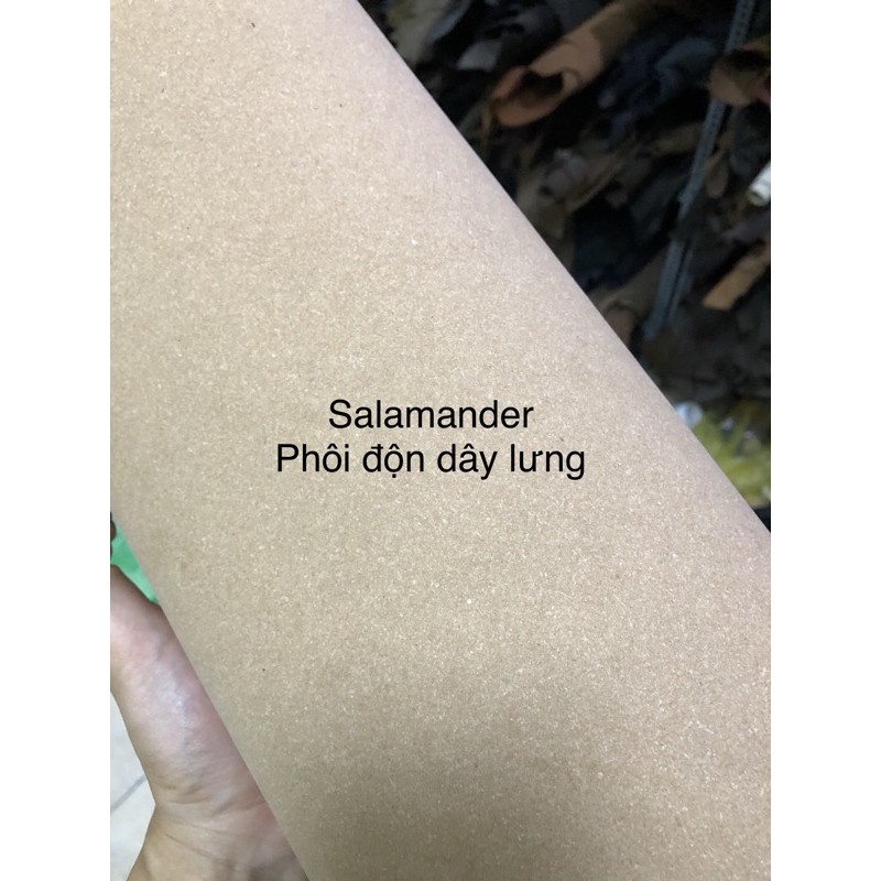 Phôi độn dây lưng Salamander 1.2mm