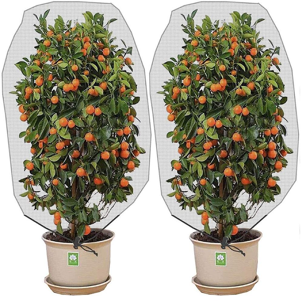 Tấm Lưới Bọc Bảo Vệ Cây Trồng Chống Côn Trùng