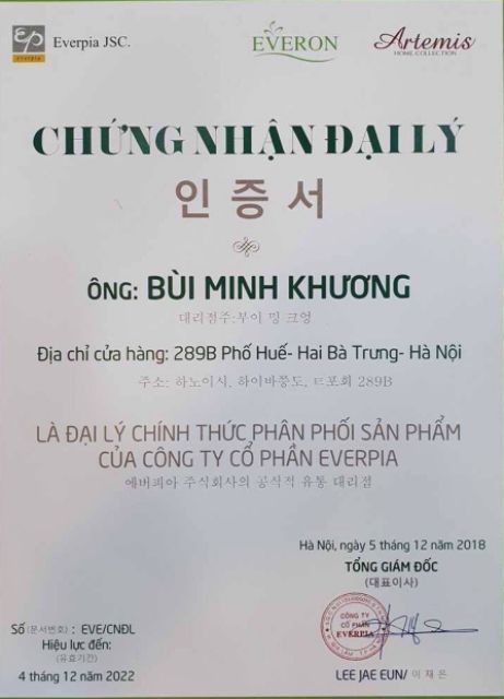 Đệm Everon giảm giá 50% bông ép 3 miếng gấp vỏ gấm chống đau mỏi vai gáy chính hãng cao cấp