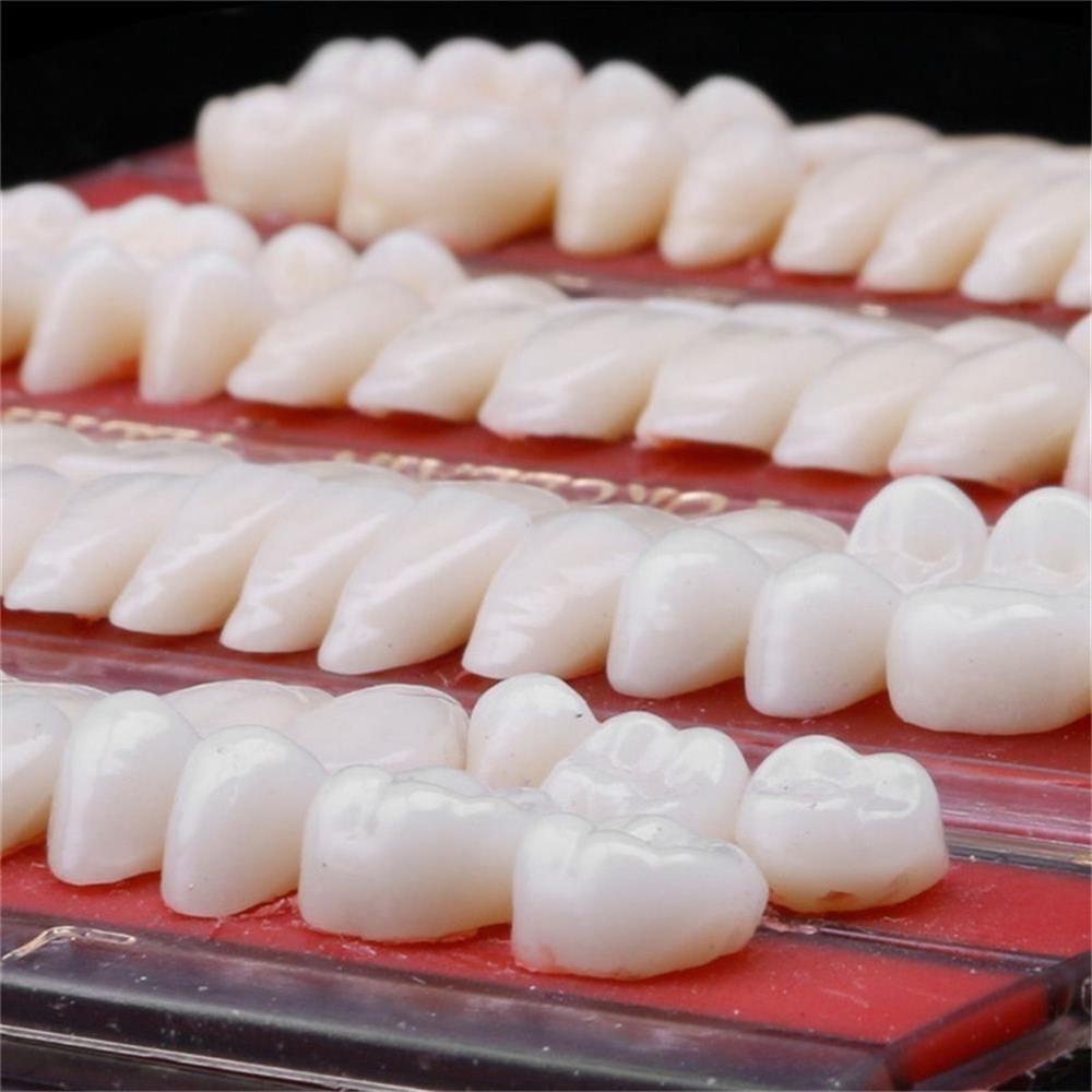 Bộ 28 Răng Giả Bằng Nhựa Acrylic Tạm Thời Thiết Kế Mới