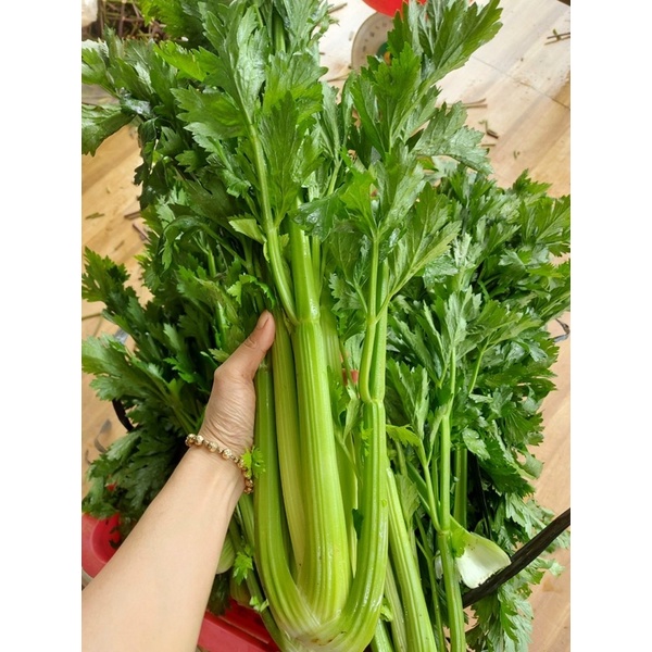 combo rau củ Dalat