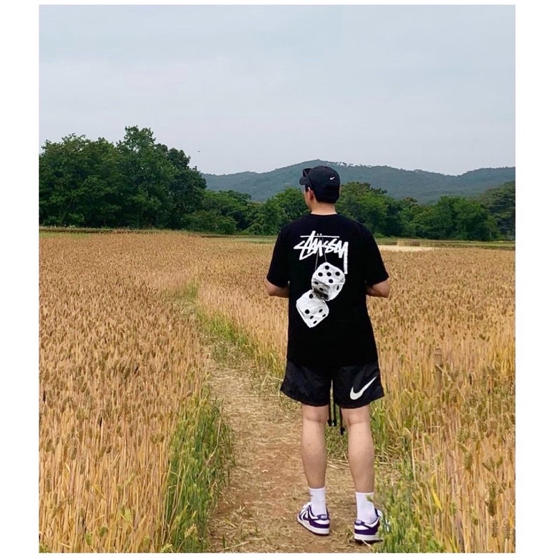 [Bao check chính hãng]Áo thun Stussy xúc xắc Fuzzy Dice tee ngắn tay hàng hiệu màu đen, trắng, màu smoke real