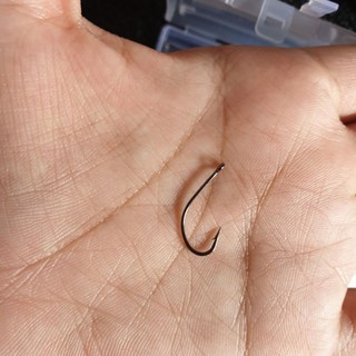 Lưỡi câu số 12 (hộp tem xanh/100 lưỡi)