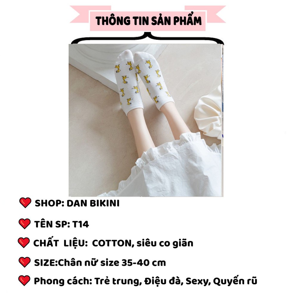 Tất Nữ ❤️FREESHIP❤️ Tất Nữ cổ ngắn dệt kim mềm mại tông vàng ❤️ Tất Nữ Đẹp cotton được chọn màu mẫu T14