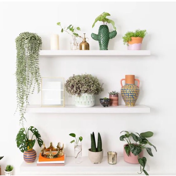 Kệ Thanh Ngang Treo Tường Kết Cấu Giấu Chân kèm Phụ Kiện, decor - Kho nhà gỗ