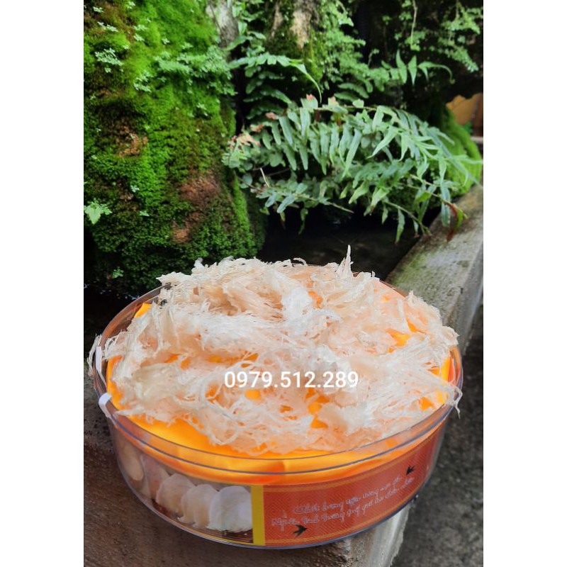 10Gr Chân yến rút lông đã làm sạch nguyên chất - Tặng đường phèn, táo đỏ, long nhãn, hạt chia