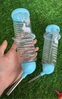 Bình nước bi 250ml dành cho thỏ, bọ ú