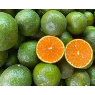 Cam sành Vĩnh Long mọng nước