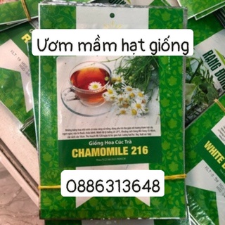 Hạt Giống Cúc Trà CHAMOMILE 216 (0.1g)