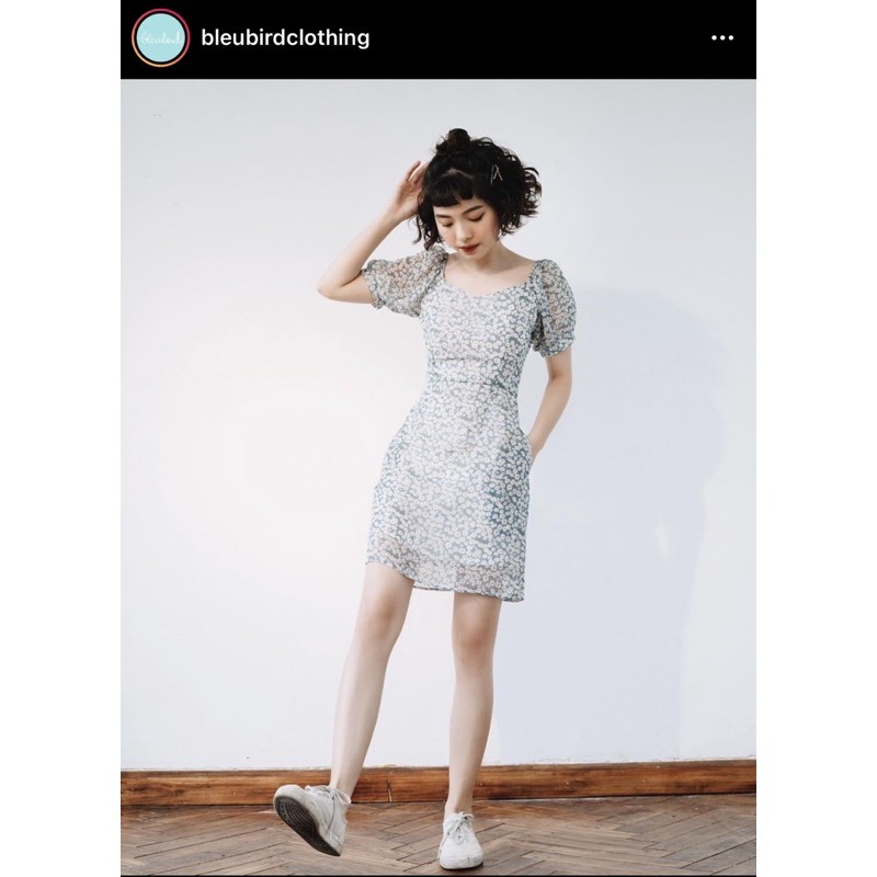 Pass váy của Bleubird