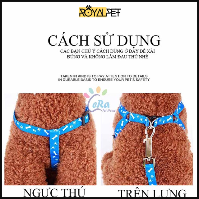 🔥🔥DÂY DẮT CHÓ MÈO,VÒNG CỔ POLIESTE KHÁ BỀN !!HỢP LÍ HỢP TÌNH VỚI DÒNG CHÓ NHỎ