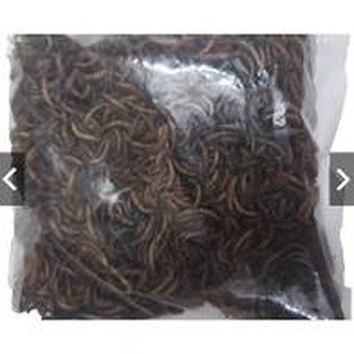 Sâu khô cho hamster 100g
