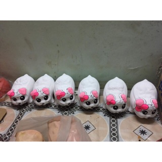 Heo đất mèo trắng cute