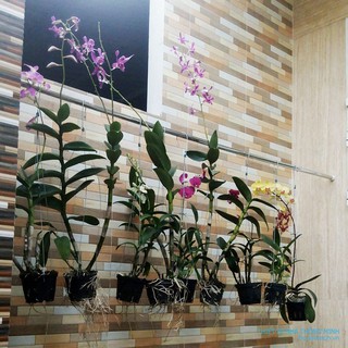 Thanh treo đa năng cao cấp