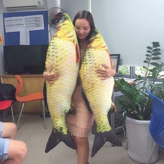 Cá chép bông size bự