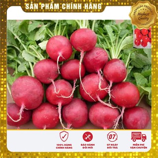 COMBO 12 GÓI HẠT GIỐNG TÍ HON CỰC KUTE