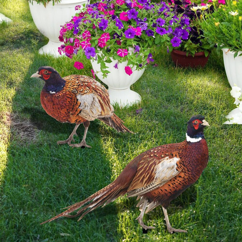 Mô Hình Tượng Động Vật Pheasants Dùng Trang Trí