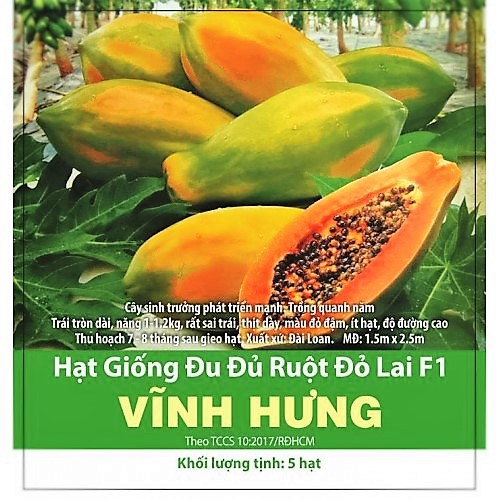 Giống Đu Đủ Ruột Đỏ F1 Vĩnh Hưng _ Gói 5 hạt .