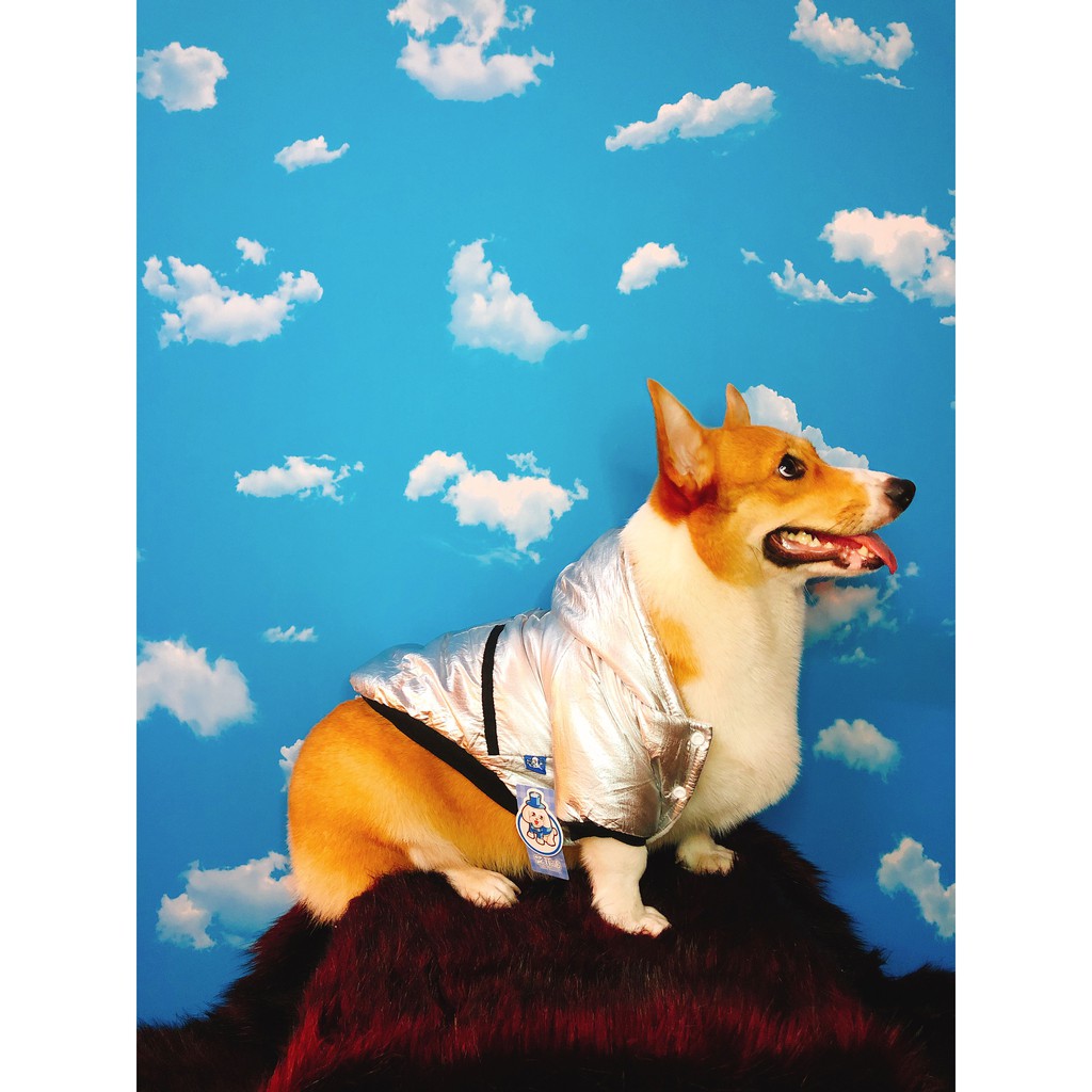 ÁO CORGI KHOÁC ELFIDOG SIZE L(5>9KG)