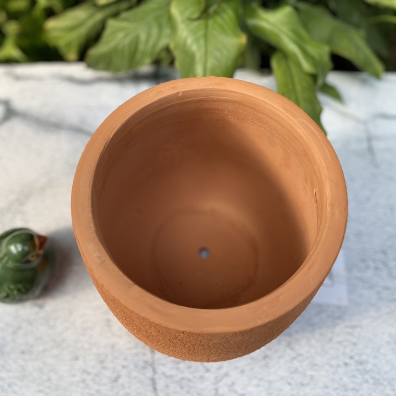 Chậu đất nung Vân gỗ, size 17x19x17cm (miệng x thân x cao) teracotta pot