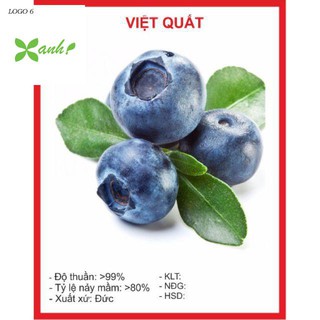Hạt Giống Việt Quất 5 Hạt