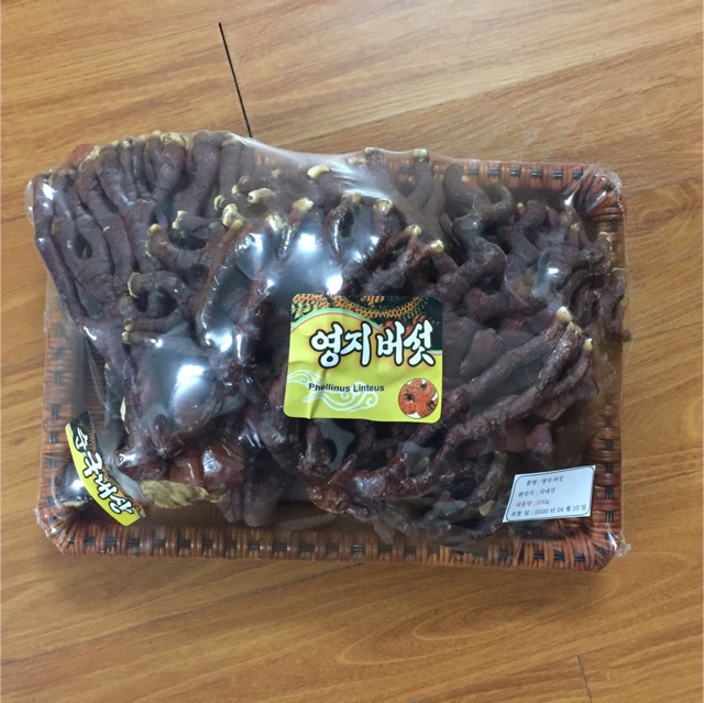 [ SALE SỐC] Nấm linh chi sừng hưu thượng hạng Hàn Quốc 500g | BigBuy360 - bigbuy360.vn