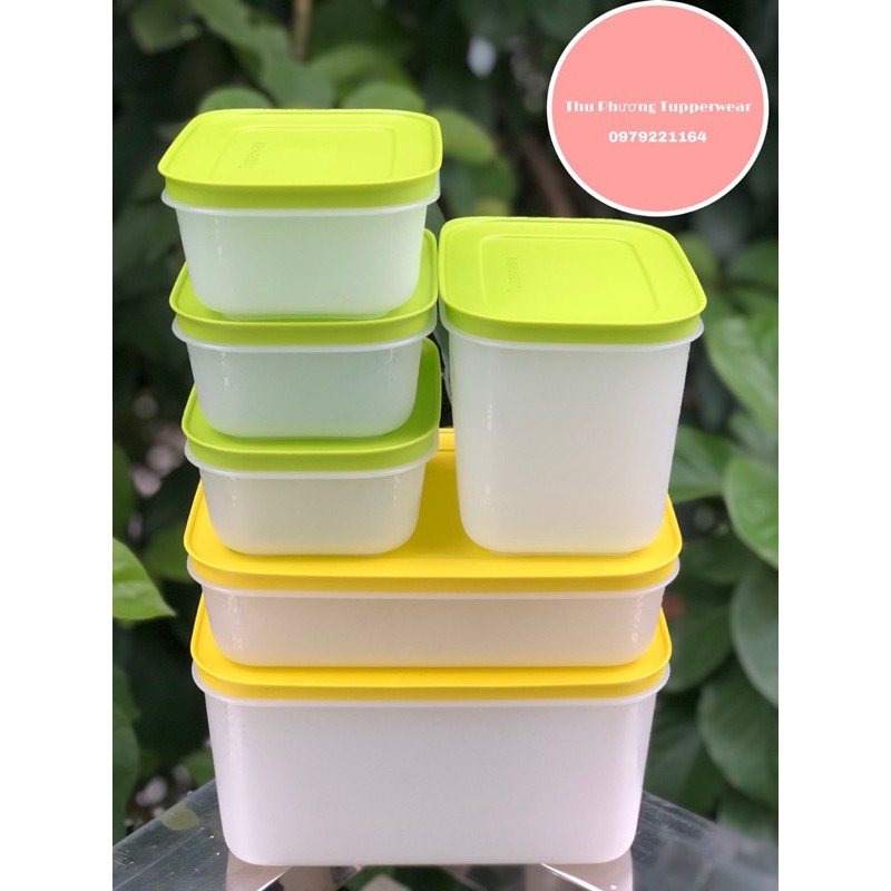 Set đông dẻo tupperwear indonesia