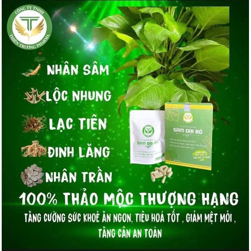 Sâm Đại Bổ 1 hộp 60 viên hổ trợ tăng cân dành cho người gầy