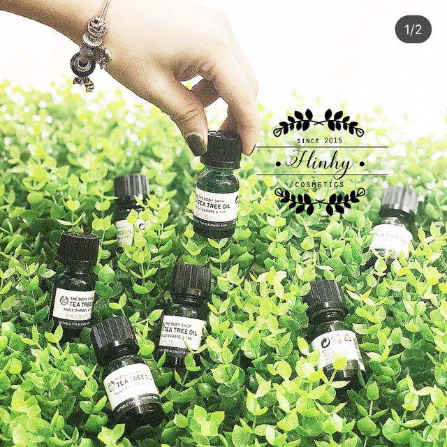 Tinh dầu Tea Tree Oil