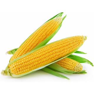 Hương liệu thực phẩm hương bắp 1000G (1KG)