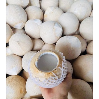 [HÀ NỘI -GIAO NHANH 30p] Dừa Xiêm Trọc Bến Tre Xuất Khẩu 480-600gram