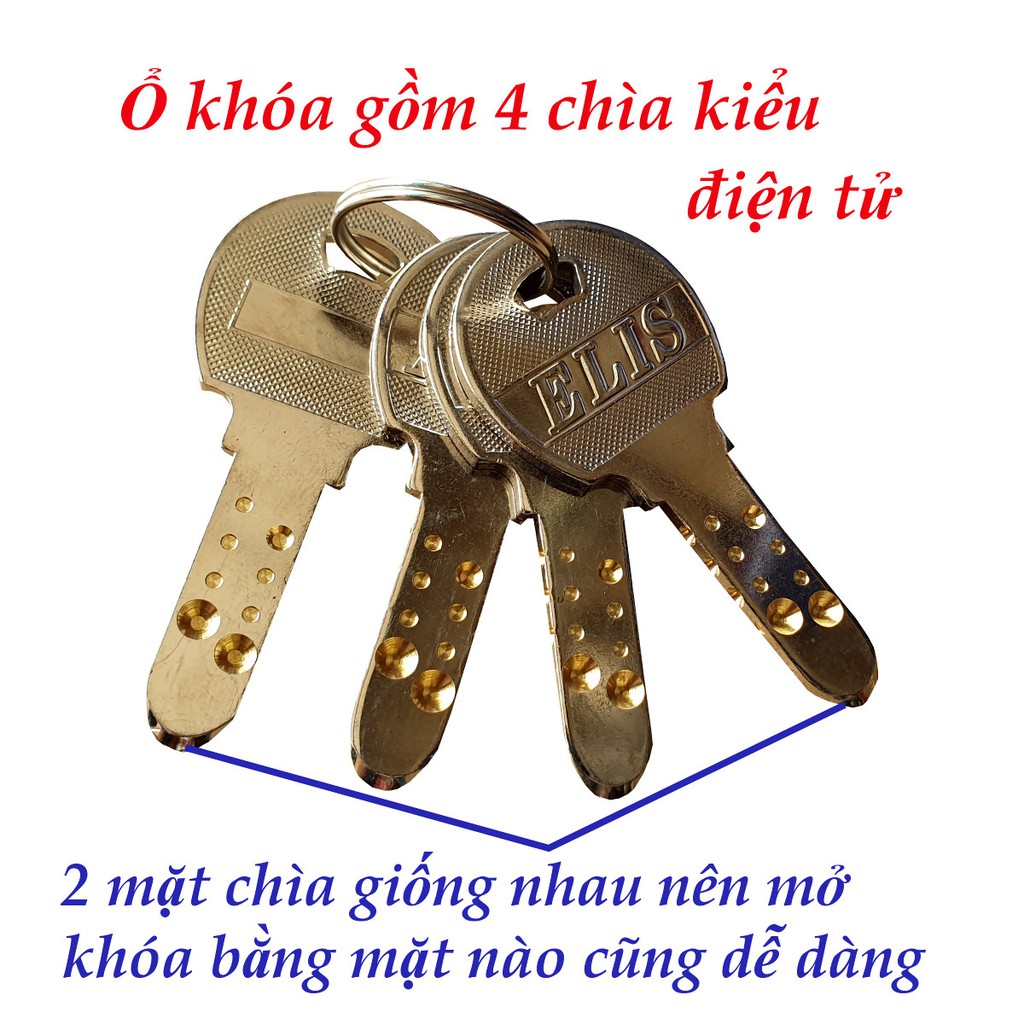 Ổ khóa cửa chất lượng cao ELIS CỠ LỚN 60MM gồm 4 chìa chất liệu thép không gỉ ( Vàng đồng)