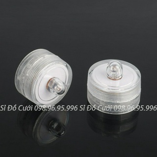 Nến tealight thả nước