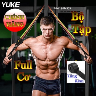 Dây Tập Gym Ngũ Sắc [LOẠI 1] Dây Kháng Lực Tập Gym Thể Hình Đa Năng Tại Nhà Chất Liệu Cao Su Co Dãn Cao Cấp Siêu Bền