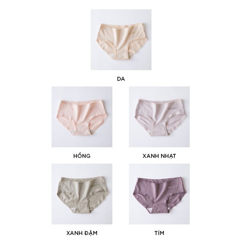 Quần lót nữ cotton cao cấp viền ren kháng khuẩn siêu đẹp QL42 | BigBuy360 - bigbuy360.vn