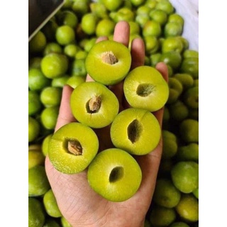 TRÁI CÂY TƯƠI